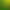 Exotic Bird Sound Effects