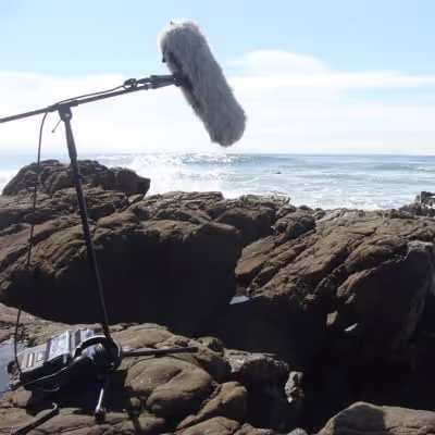 California Beaches sound effects library by RDGsoundFX