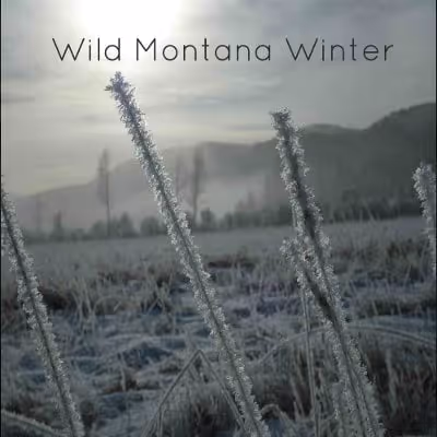 Wild Montana Winter sound effects library by Moon Echo Audio / Walla Craft