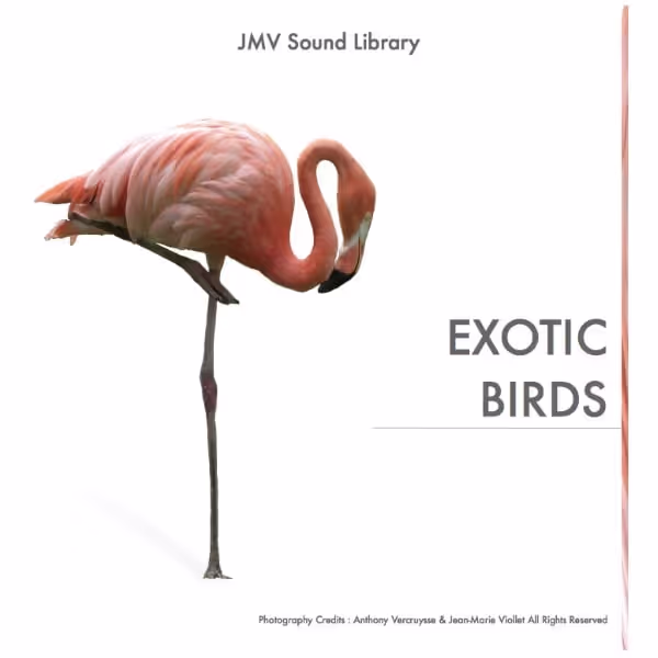 Exotic Birds sound effects library by JMV