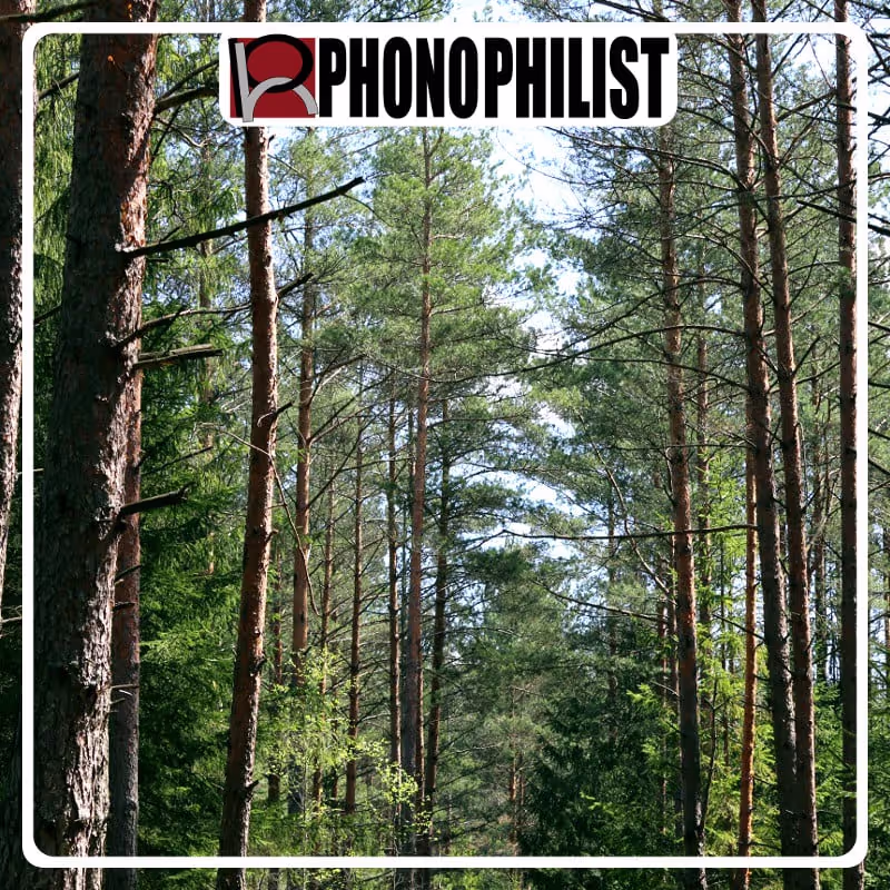 Forest Reverb - Outdoor Impulse Responses sound effects library by Phonophilist