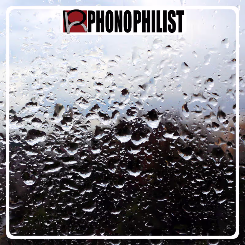 Rain in the City - by Phonophilist sound effects library by Phonophilist