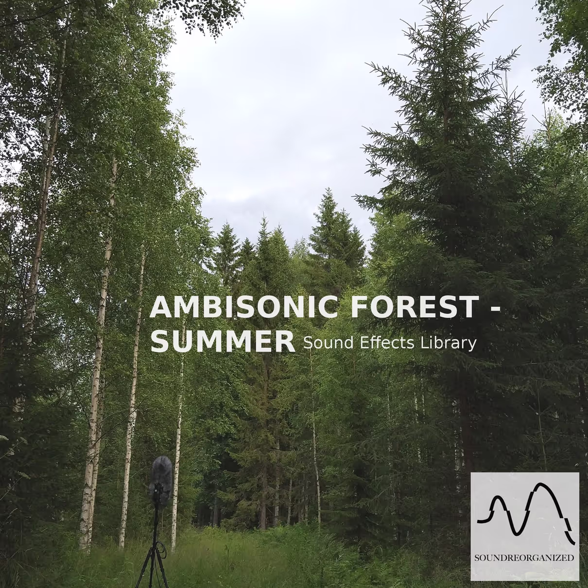 Ambisonic Forest - Summer sound effects library by Soundreorganized