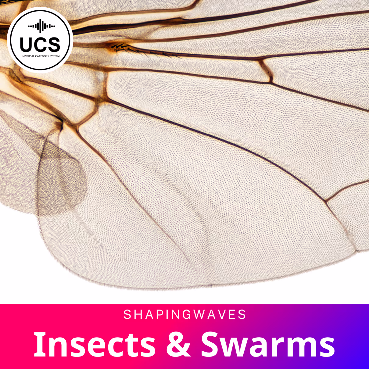 Insects & Swarms sound effects library by ShapingWaves