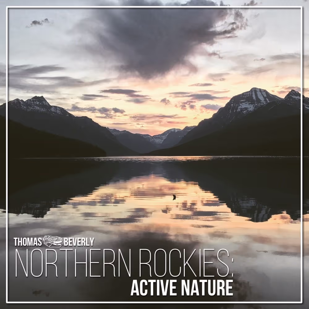 Northern Rockies: Active Nature sound effects library by Thomas Rex Beverly