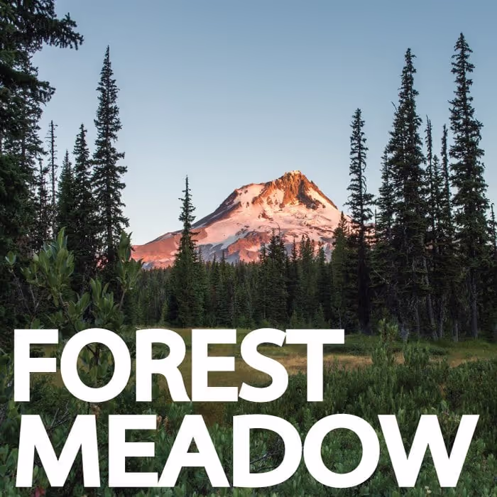Oregon Forest Meadow Birds sound effects library by Discover Oregon
