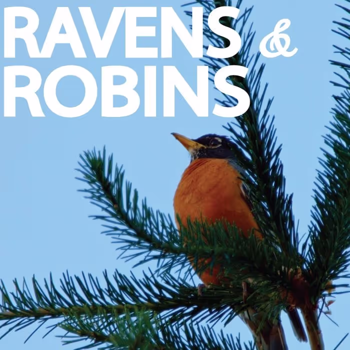 Ravens and Robins sound effects library by Discover Oregon