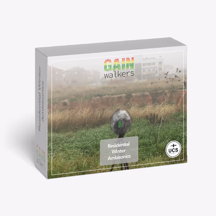 Residential Winter - Ambisonics sound effects library by GainWalkers
