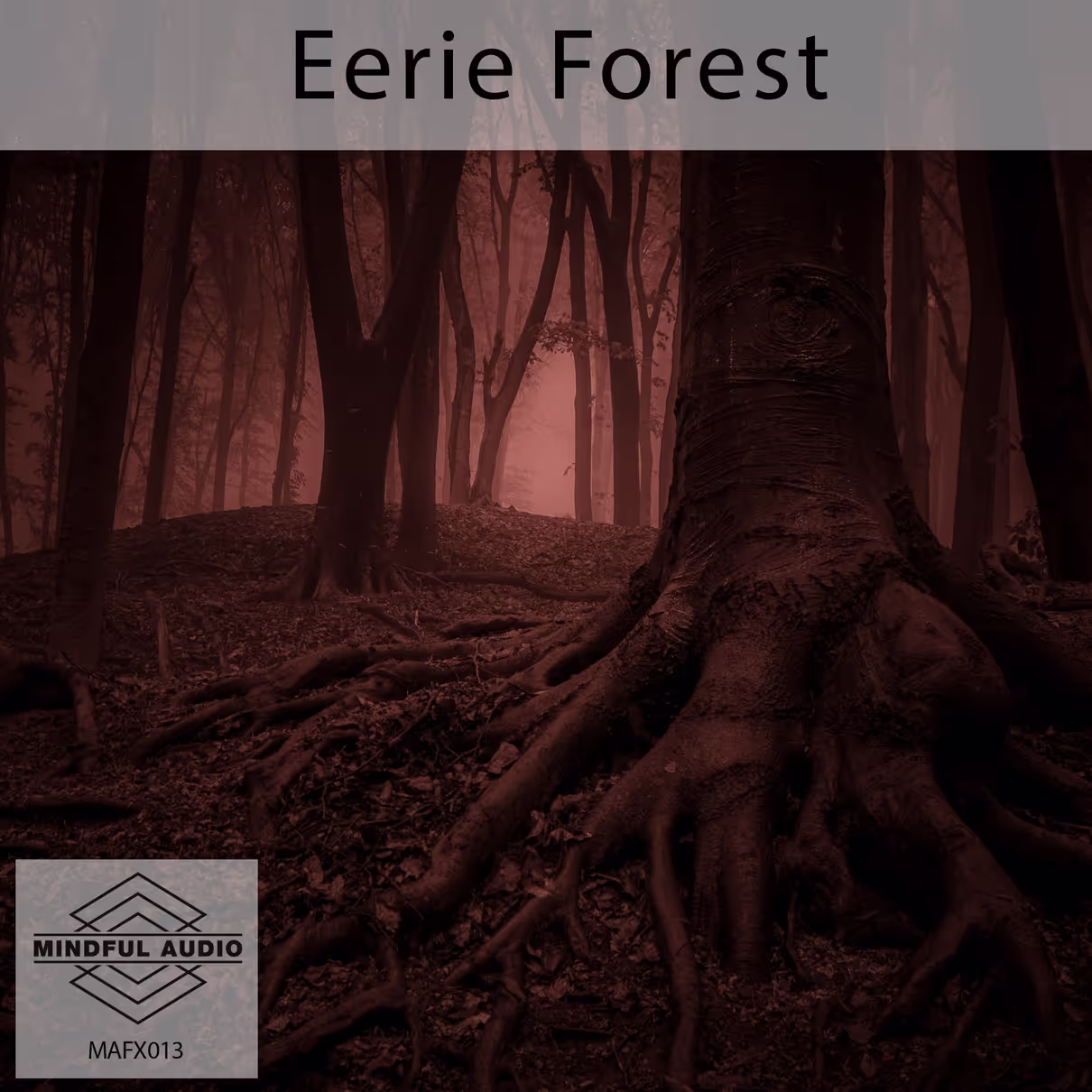 Eerie Forest sound effects library by Mindful Audio