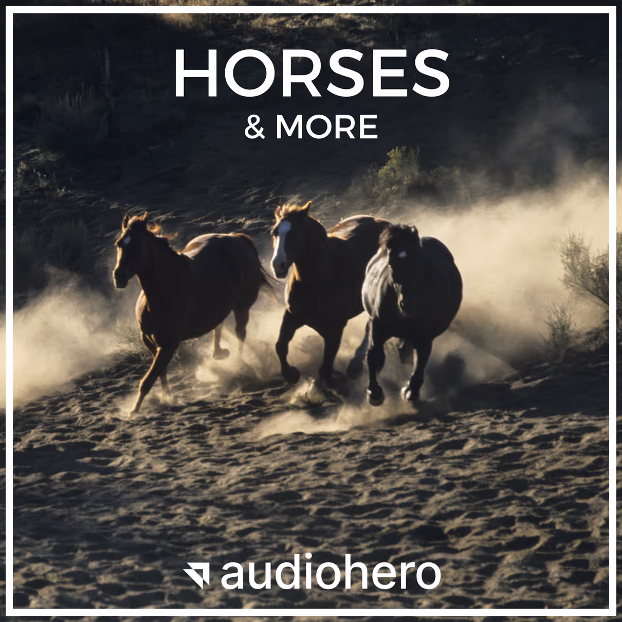 Horses & More sound effects library by Audiohero
