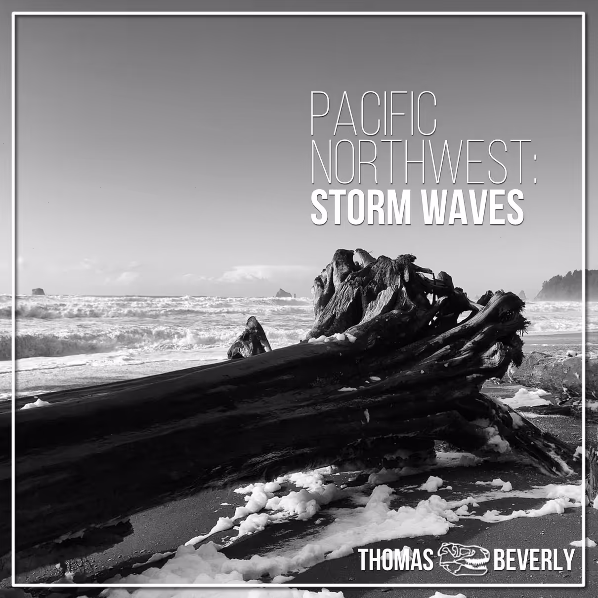 Pacific Northwest: Storm Waves sound effects library by Thomas Rex Beverly