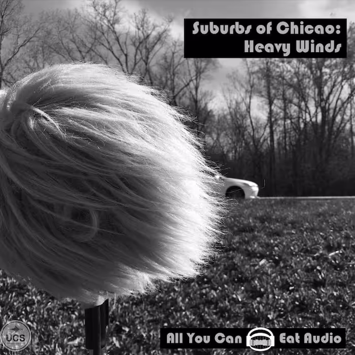 Suburbs of Chicago: Heavy Winds sound effects library by All You Can Eat Audio