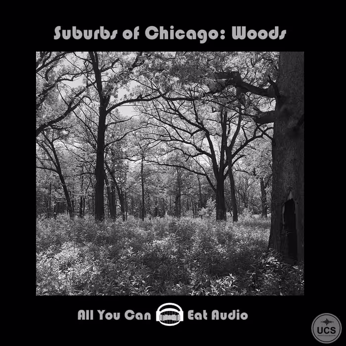 Suburbs of Chicago: Woods sound effects library by All You Can Eat Audio