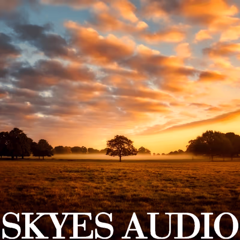 British Suburbia sound effects library by SKYES Audio