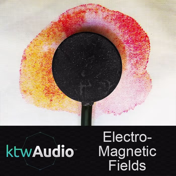 Unheard Sounds: Electromagnetic Fields by ktwAudio