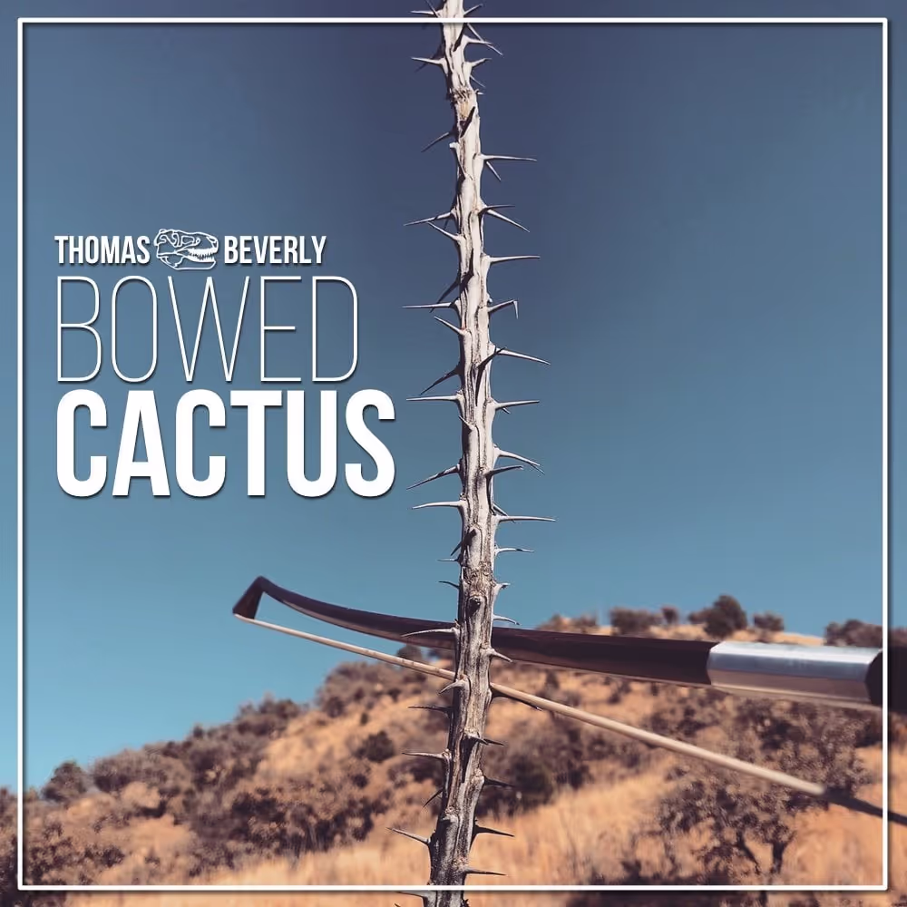 Bowed Cactus sound effects library by Thomas Rex Beverly