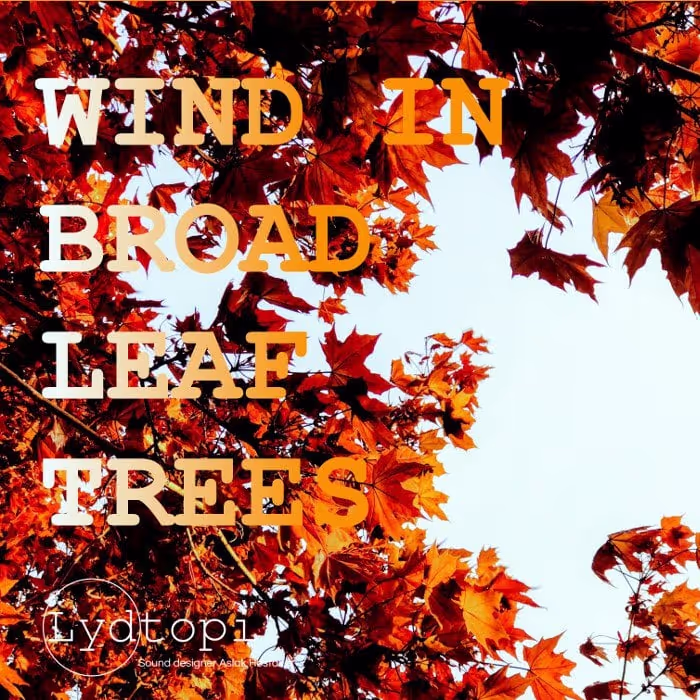 Wind In Broadleaf Trees sound effects library by Samplerate