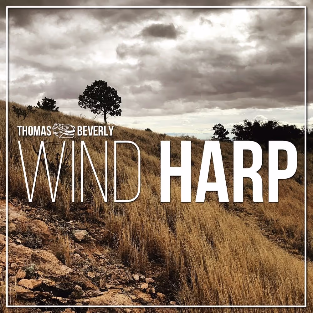 Wind Harp sound effects library by Thomas Rex Beverly