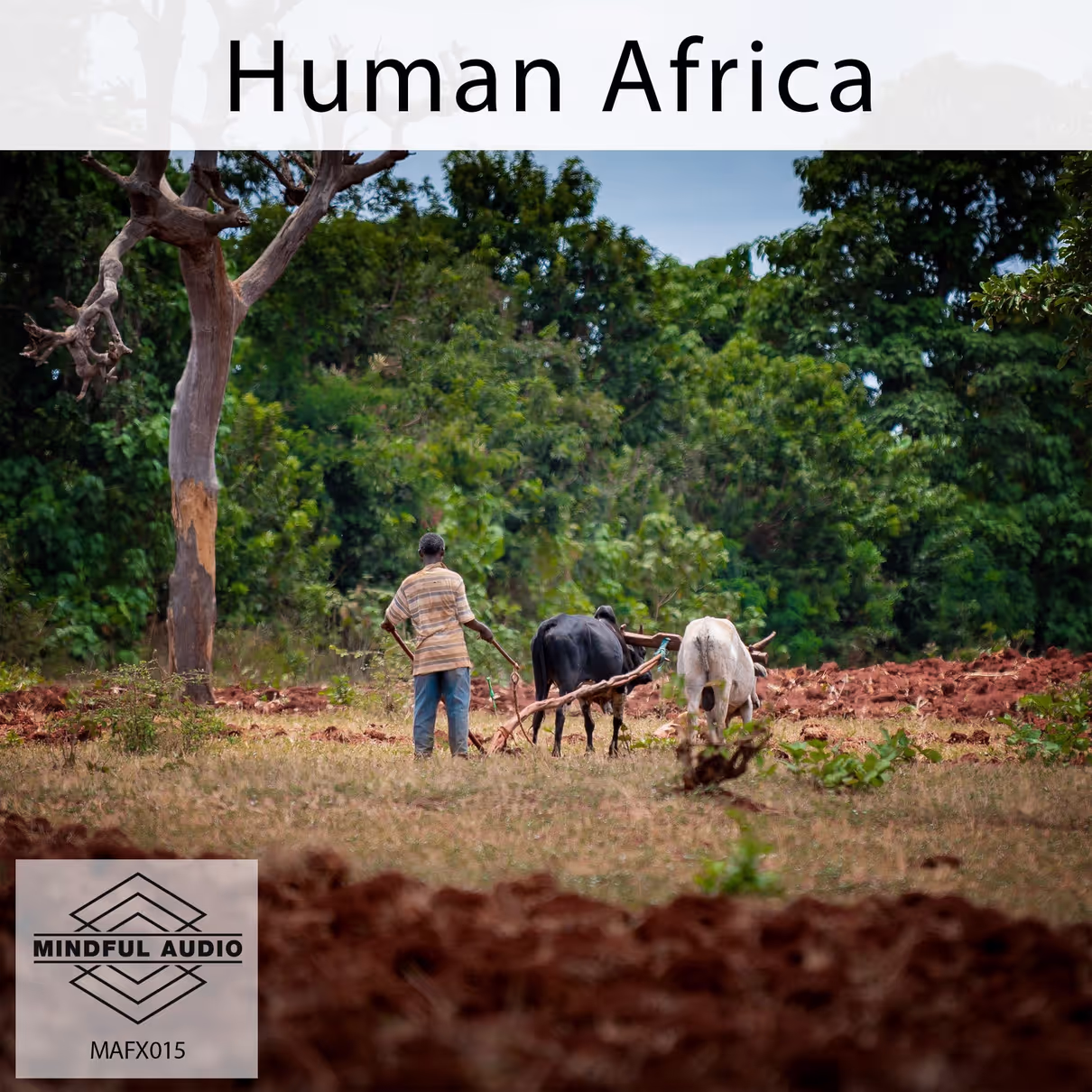 Human Africa sound effects library by Mindful Audio