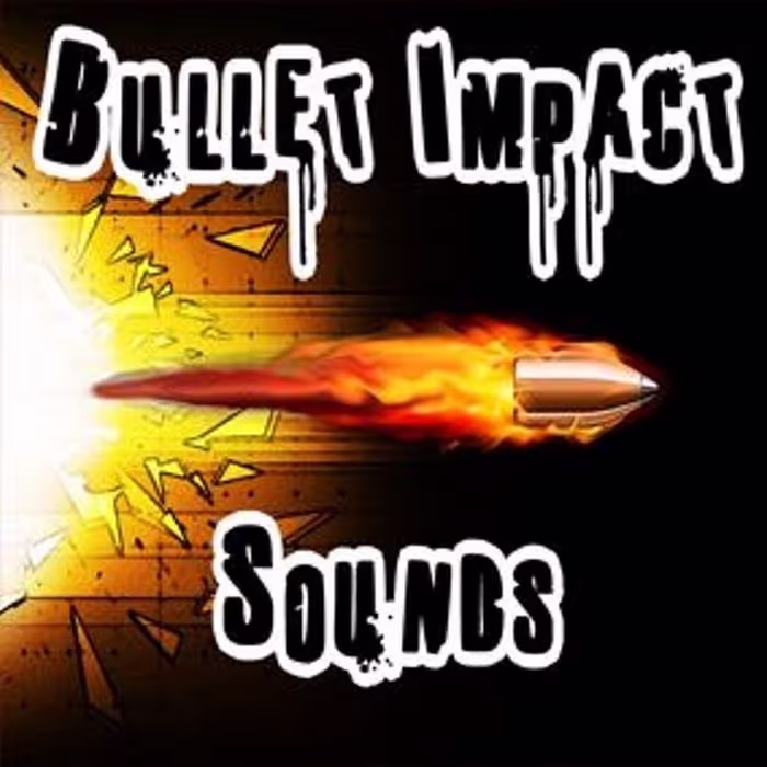Bullet Impact Sounds by Gamemaster Audio