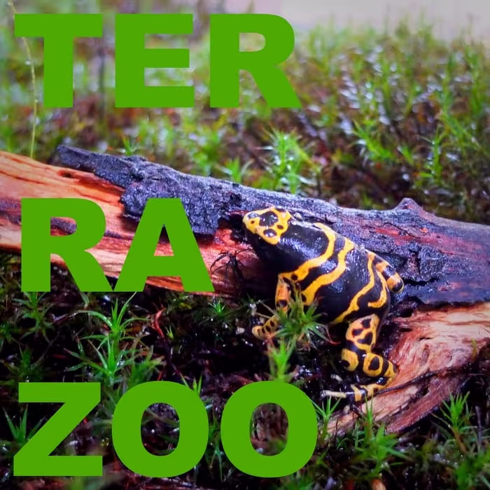 TerraZoo - Reptiles and more sound effects library by Sound of Essen