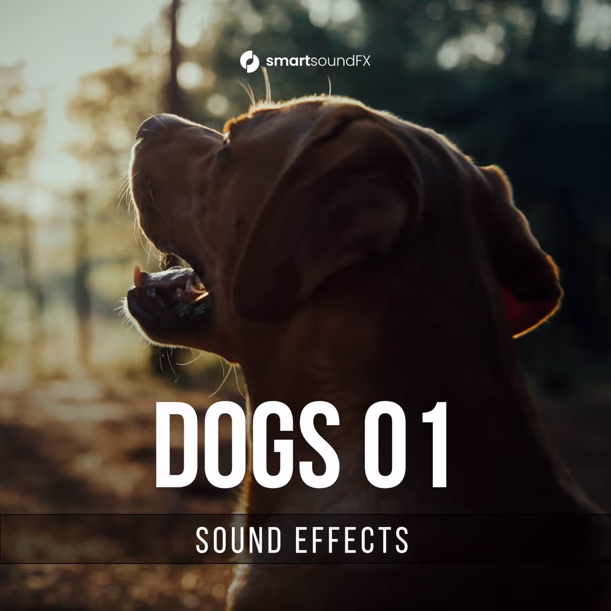 Dogs sound effects library by SmartsoundFX