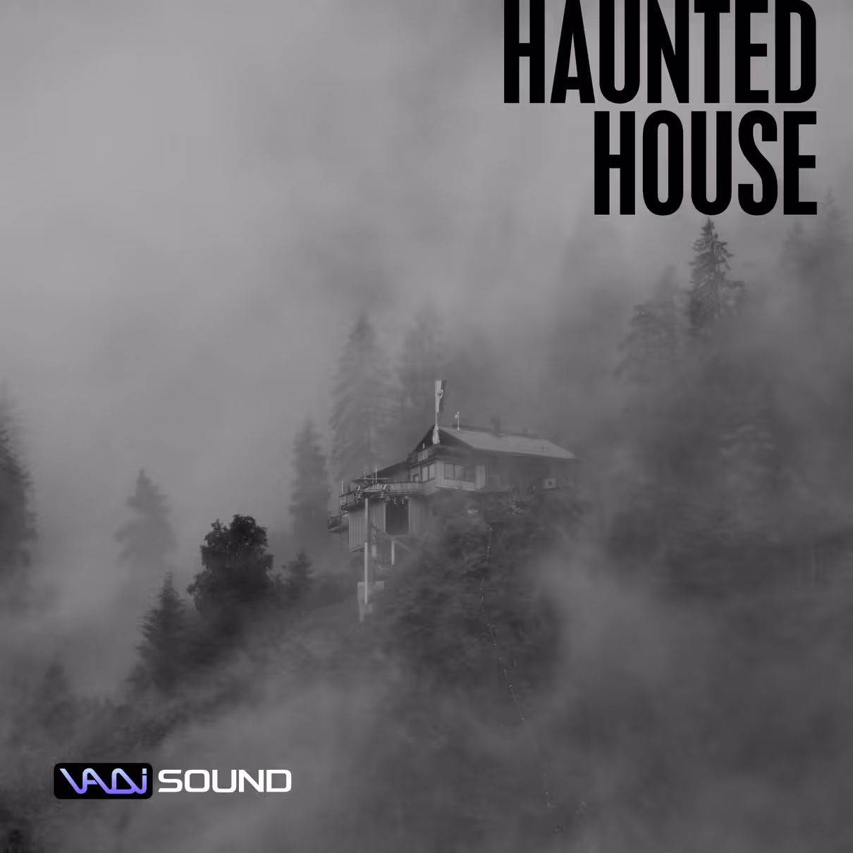 Haunted House sound effects library by Vadi Sound Library