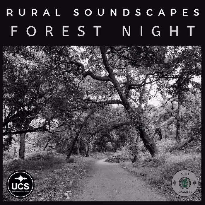 Forest Night sound effects library by Seth Swaaley