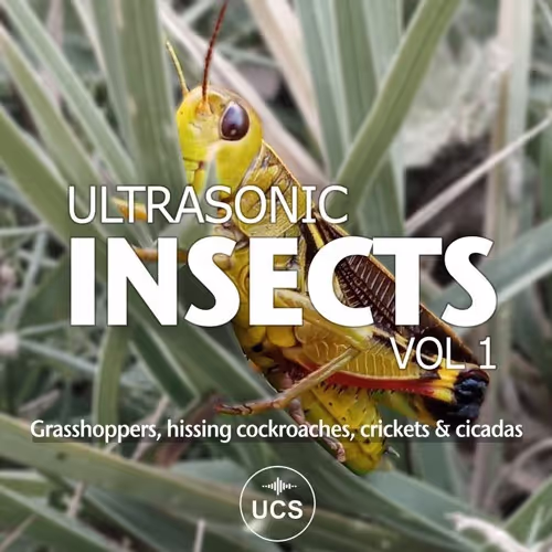 Ultrasonic Insects Vol 1 sound effects library by Nicolas Titeux