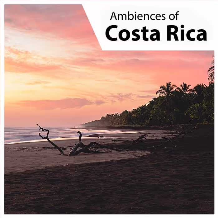 Ambiences of Costa Rica sound effects library by Sebaudio