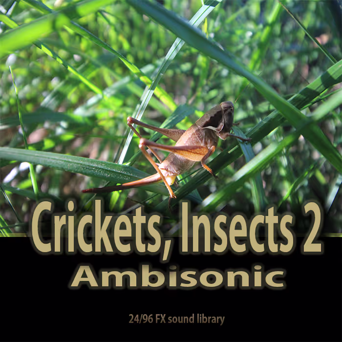 Ambisonics - Crickets, Insects vol. 2 sound effects library by IVO VICIC SOUND LIBRARIES