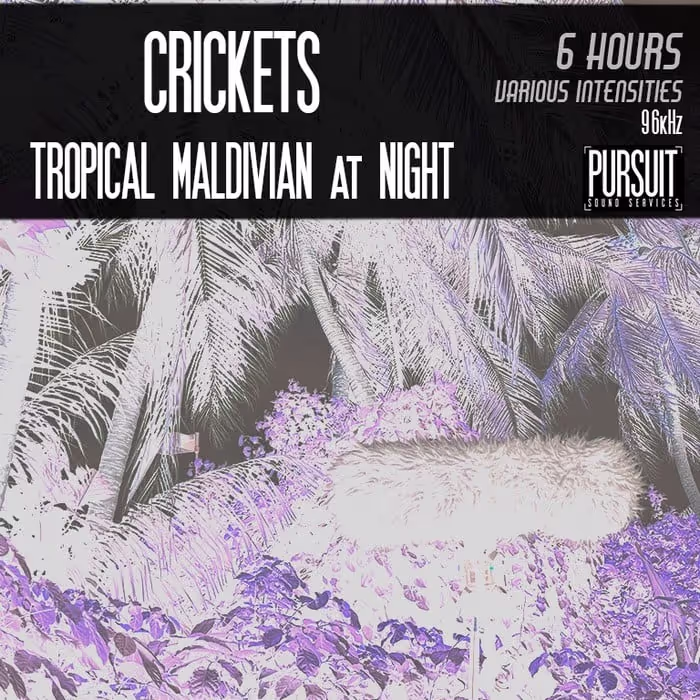 Maldivian Crickets sound effects library by Pursuit Sound