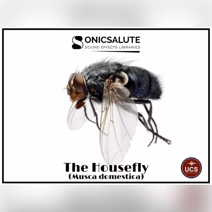 The Housefly sound effects library by SonicSalute