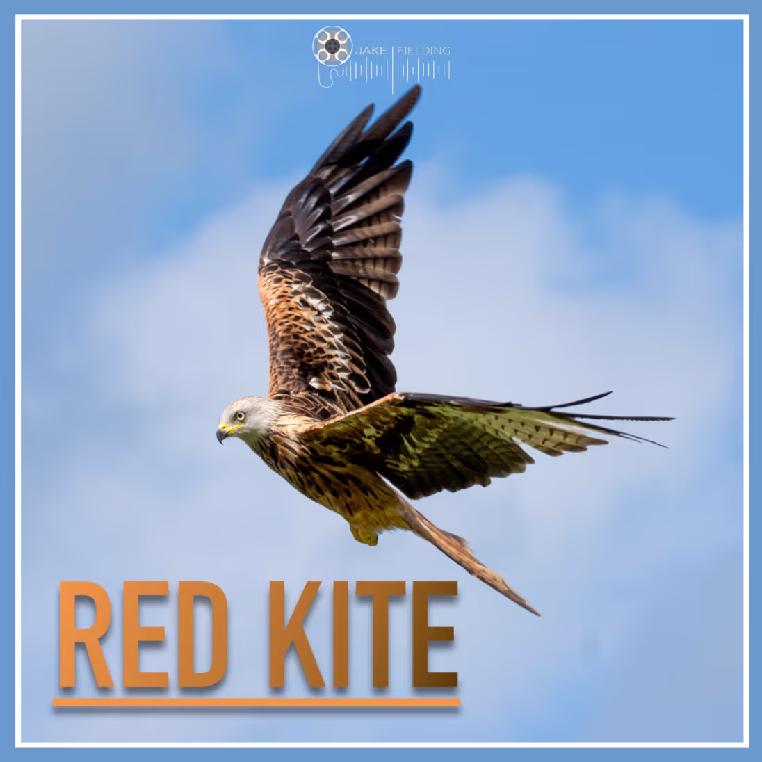 Red Kite sound effects library by Jake Fielding Sound