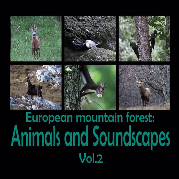 European Mountain Forest: Animals and Soundscapes Vol. 2 sound effects library by IVO VICIC SOUND LIBRARIES