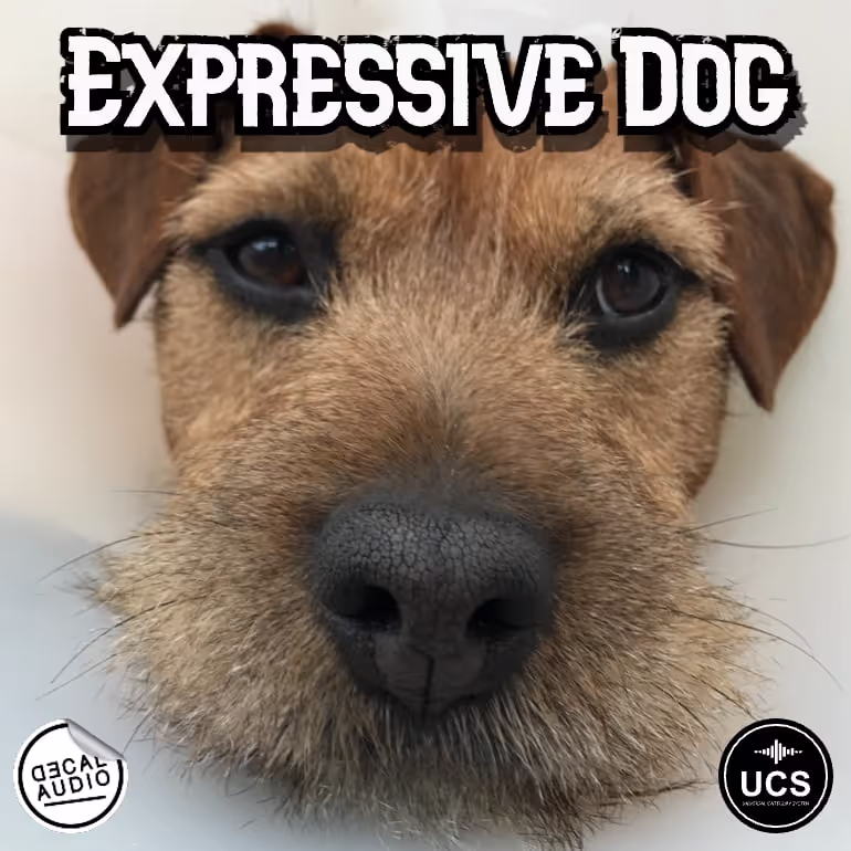 Expressive Dog sound effects library by Decal Audio