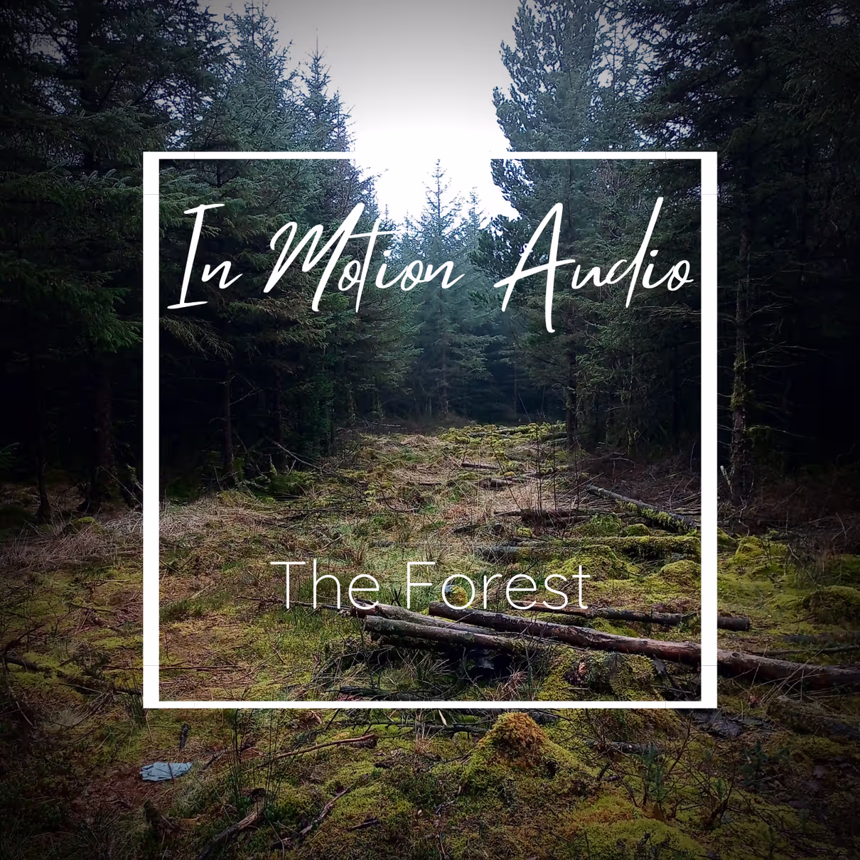 The Forest sound effects library by In Motion Audio