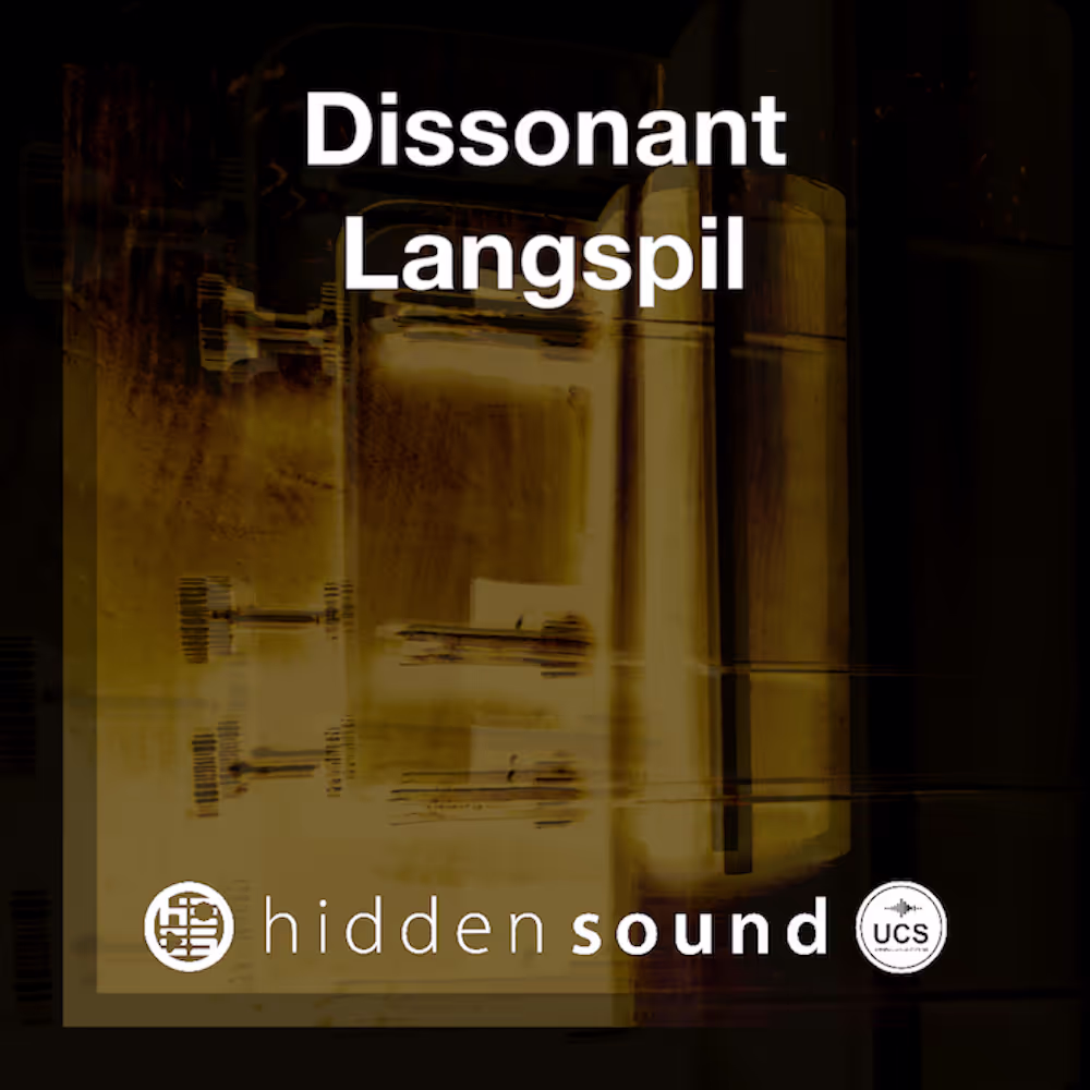 Dissonant Langspil by Hidden Sound