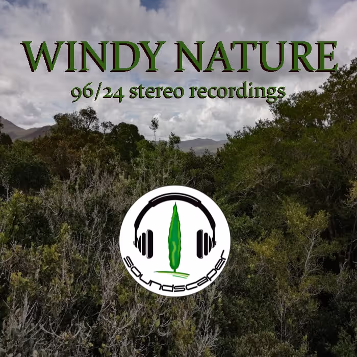 Windy Nature sound effects library by Soundscaper