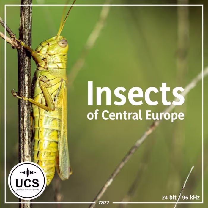 Insects of Central Europe sound effects library by zazz