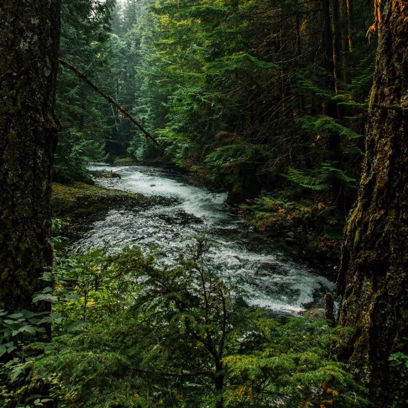 Natural Water Streams sound effects library by Justin Jet Zorbas