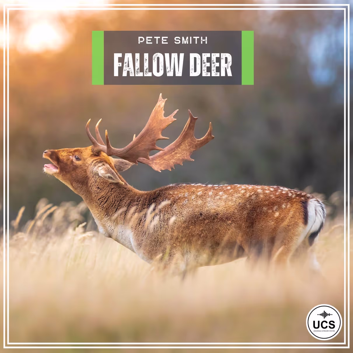 Fallow Deer sound effects library by Peter Smith