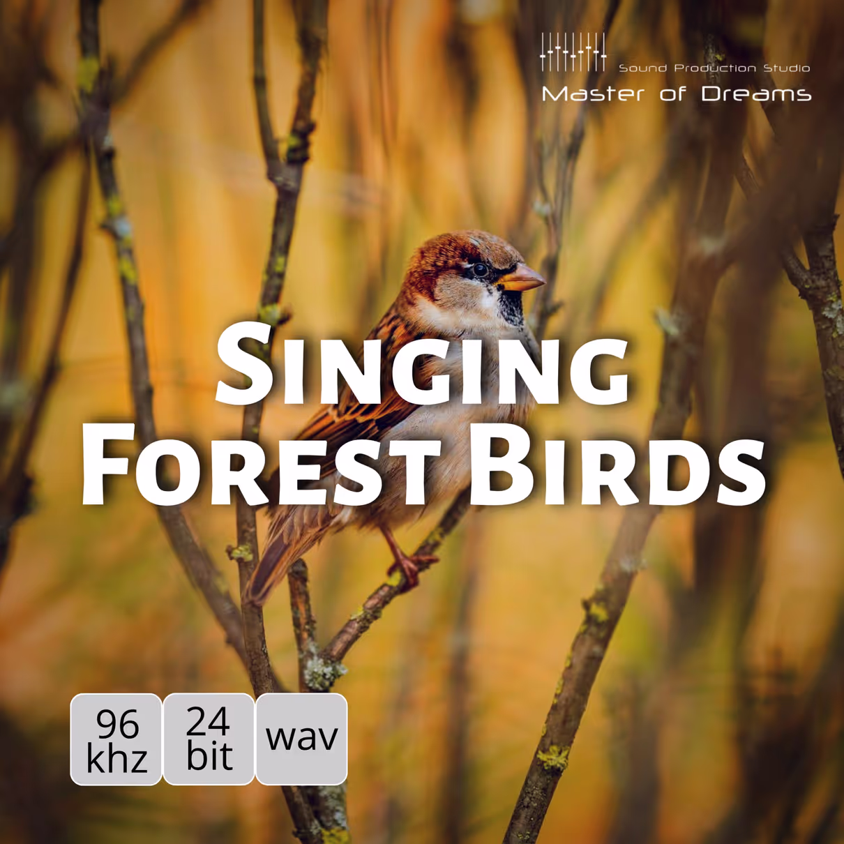Singing Forest Birds sound effects library by Master of Dreams