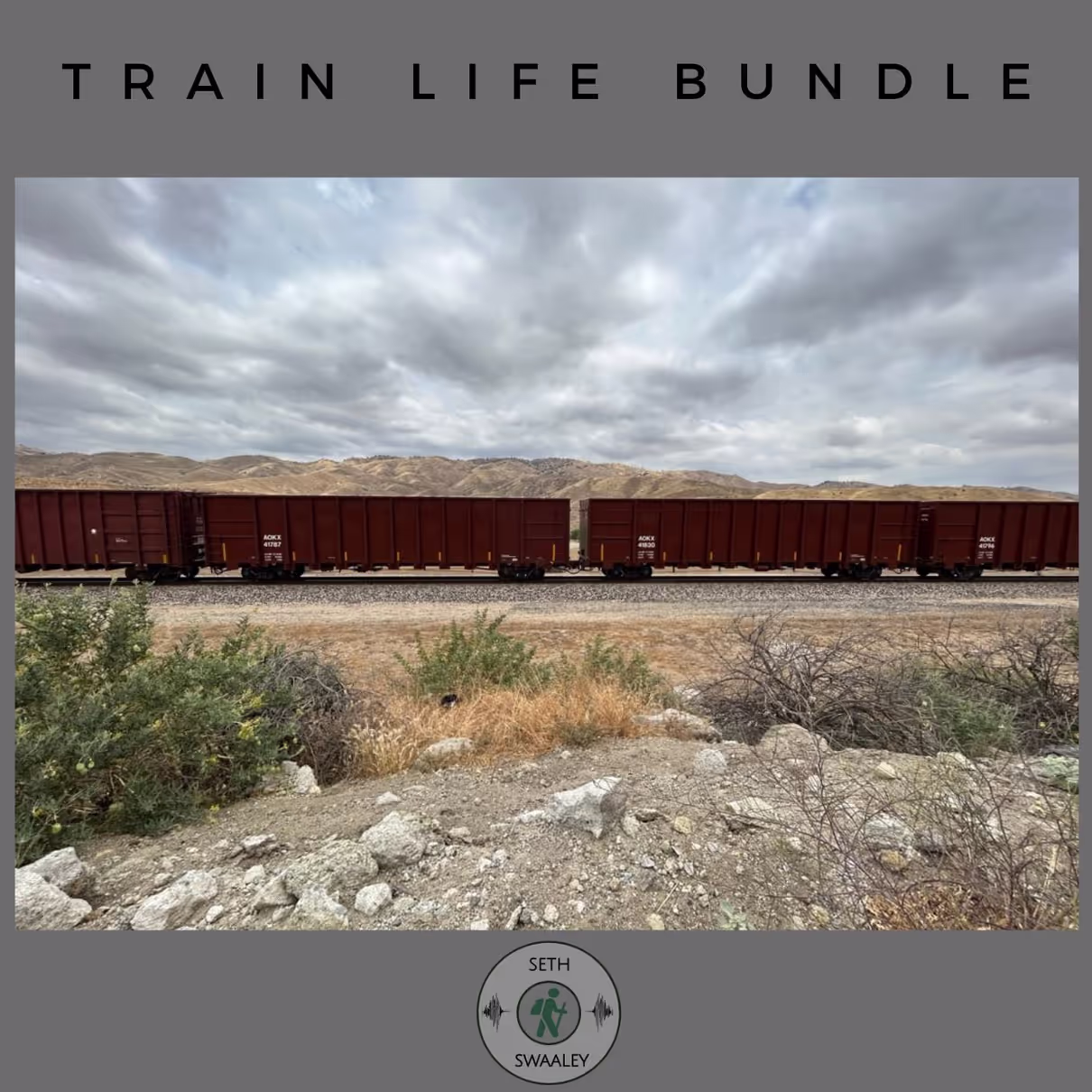 Train Life Bundle by Seth Swaaley