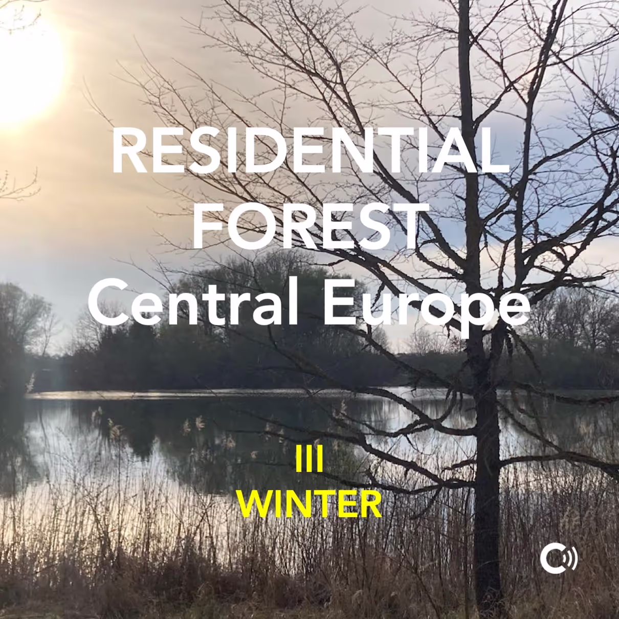 Residential Forest III - WINTER sound effects library by chromsound