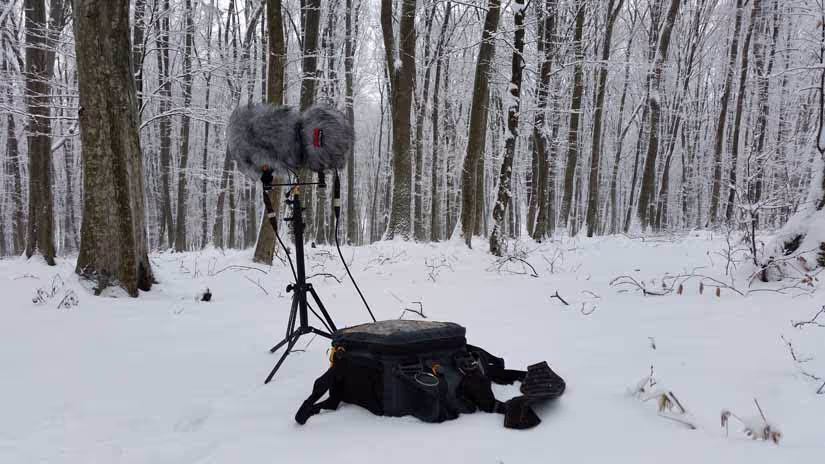 Field Recording Guide