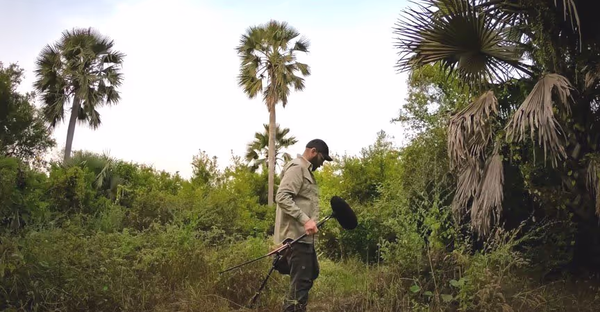 sound effects recording in africa