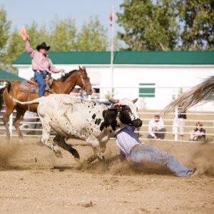 Rodeo Sound Effects