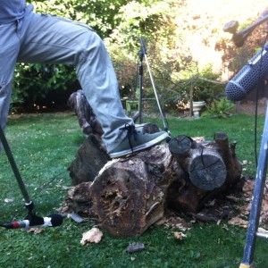 The final hours of the woodpile