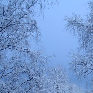 Recording frostbite was a cold experience